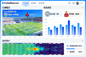 足球数据统计网站的分析界面截图